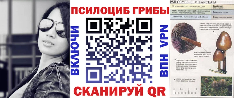 Галлюциногенные грибы Magic Shrooms  даркнет сайт  даркнет наркотические препараты  Артём 